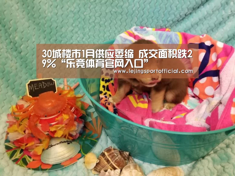 乐竞体育官网登录