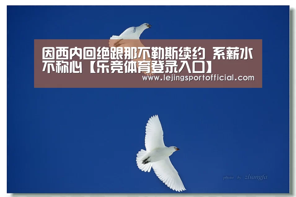 乐竞体育官网入口