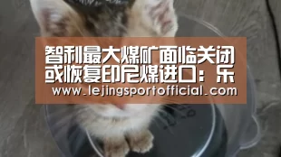 乐竞体育官网入口